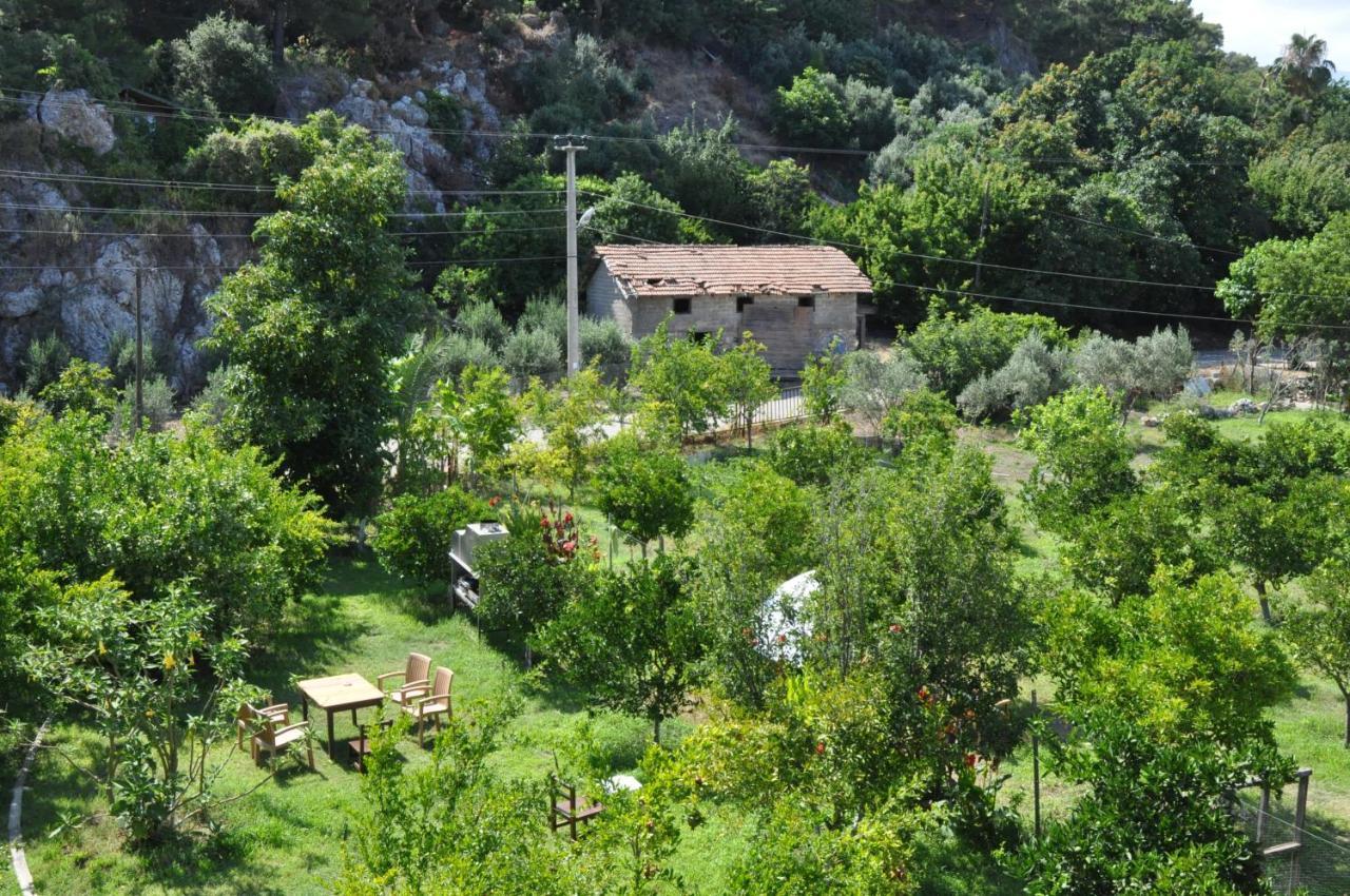 San Simon Hotel Çıralı Eksteriør bilde